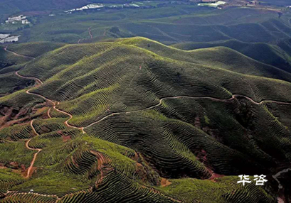 湖南永州藍山公路項目水土保持方案（水保）順利通過專家評議